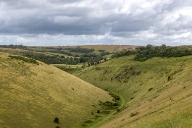 South Down 'daki Şeytan' ın Lezbiyeni 'ne bakıyorum.