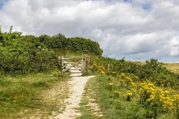 Stock image A chalk pathway leading to a gate, near Devil's Dyke in the South Downs