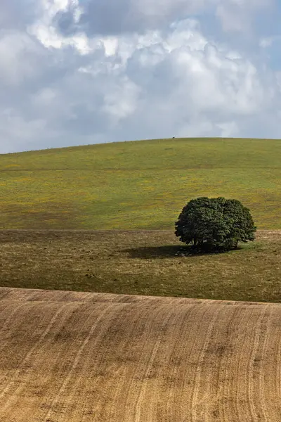 stock image A view over a rural South Downs landscape with a field of harvested cereal crops in the foreground