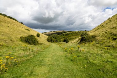 Sussex 'teki Şeytan' ın Lezbiyeni 'nin dibindeki çimen yolu boyunca bir manzara.