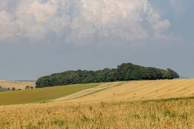 Sussex 'in kırsal kesimlerinde bir yaz günü hasat sonrası manzarası.