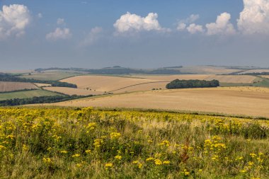 Güneşli bir yaz gününde Güney Tepeleri manzarasına bakıyorum.