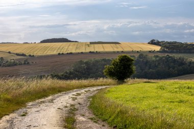 Sussex 'in kırsal kesiminde bir yaz akşamı manzarası