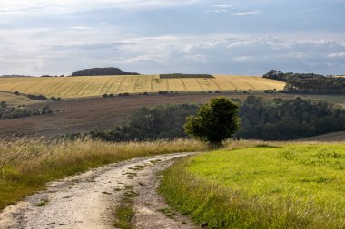 A view over farmland in rural Sussex on a summer's evening clipart