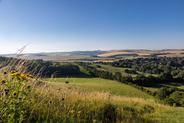 Sussex 'teki Kingston Ridge' den güneşli bir yaz günü manzarası.