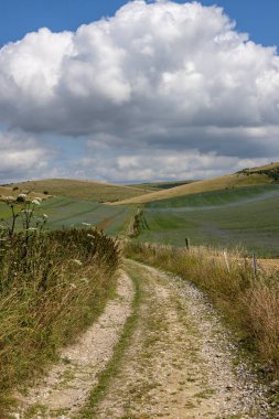 Sussex kırsalında bir patika boyunca mavi gökyüzü ve kabarık bulutları olan bir patika.