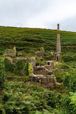 Cornish kırsalındaki bir teneke madeninin kalıntılarının manzarası.
