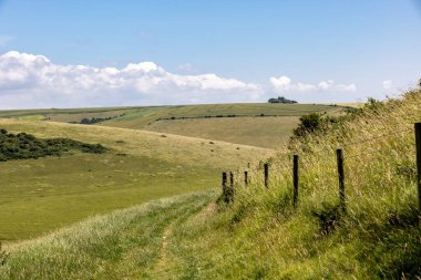Güneşli bir yaz gününde, Güney Tepeleri yamacından aşağıya uzanan bir çim yolu.