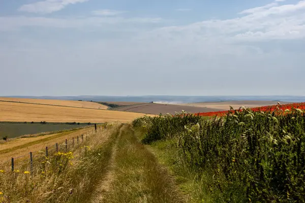 stock image A view along a pathway in the South Downs, with a poppy field to one side and cereal crops in the fields ahead