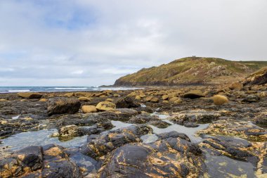 Cornish kıyısındaki Porth Ledden 'daki kayalara bakıyorum.