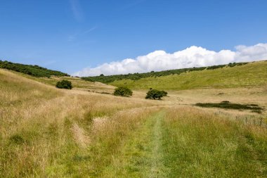 Sussex 'in kırsal kesimindeki çimen patikasına bakıyorum başımın üstünde mavi bir gökyüzü ile