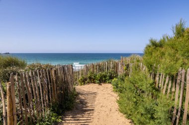 Cornwall 'daki Fistral Plajı' nda, arkasında okyanus olan kumlu bir patikayı kaplayan ahşap bir çit.
