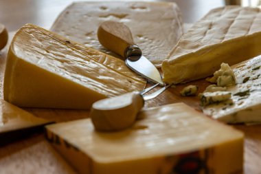 Seçici odaklı bir peynir tahtası partide hazır.