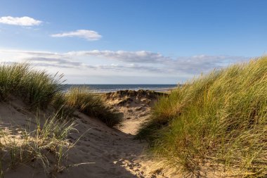 Merseyside sahilindeki kum tepelerini kaplayan Marram otları güneşli bir yaz akşamında