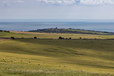 Okyanusa bakan bir manzara. Ön planda Güney Tepeleri var. Sussex 'te Rottingdean yakınlarında.