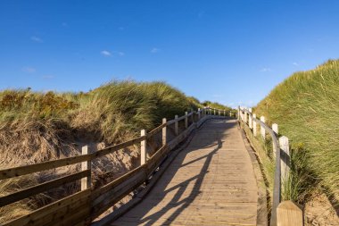 Merseyside kıyısındaki ahşap bir patika boyunca tepemizde mavi bir gökyüzü ve her iki tarafında marram otları olan kum tepeciklerine bakıyorum.