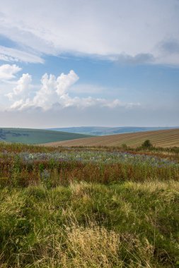 A view over fields in rural Sussex, on a late summer's day clipart