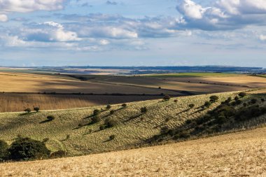 Güneşli bir Eylül gününde Güney Tepeleri 'nin tepelerine bakıyorum.
