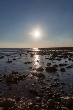 Low tide at Cuckmere Haven in Sussex, on a sunny January day clipart