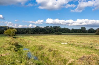 Looking out over a field in the Sussex countryside, with a blue sky overhead clipart