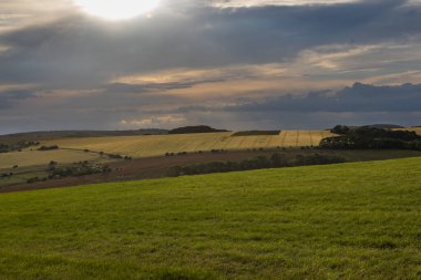 Farmland in rural Sussex on a sunny summer's evening clipart