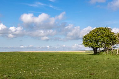 Looking out over a green Sussex landscape on a sunny spring day clipart