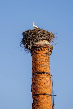 Portekiz, Ferragudo 'da kullanılmayan bir fabrikanın baca yığını.