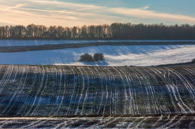 A view over a winter Sussex farm landscape, with late afternoon light clipart