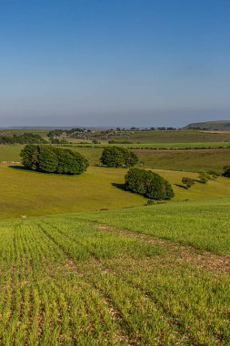 Baharın sonlarında güneşli bir günde, Güney Downs 'da bir tarım arazisi manzarası