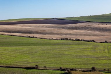 Güneşli bir Ocak gününde Güney Tepeleri manzarası
