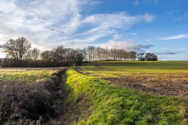 Agricultural fields in Sussex with a ditch running between them clipart