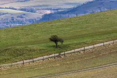 A rural South Downs view on a sunny day in early February clipart