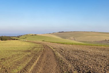 Along the South Downs Way on Ditchling Beacon, with a blue sky overhead clipart