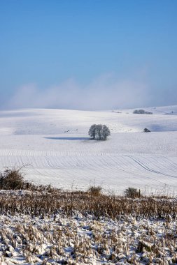 An idyllic snowy landscape in rural Sussex, on a sunny day in January clipart