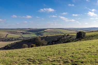 Güneşli bir kış gününde geniş bir Güney Downs manzarası