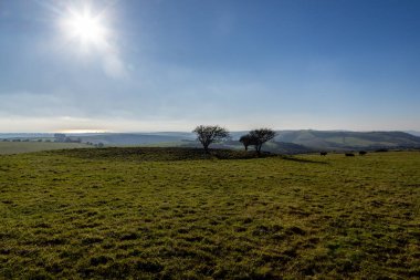 Clayton yakınlarında, Sussex 'te, yamaçta çiğ göleti manzaralı Güney Tepeleri.