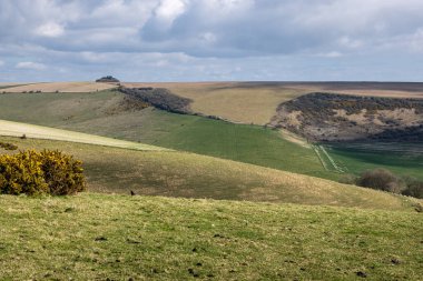 Bahar güneşinin altında yuvarlanan Güney Tepeleri manzarasına bakıyorum.