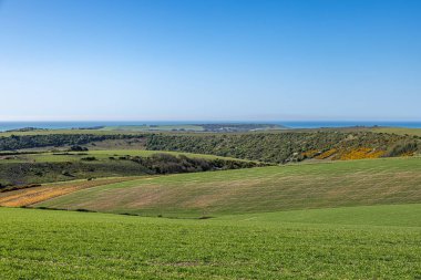 Güneşli bir bahar gününde huzurlu bir Sussex manzarası