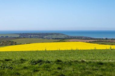 Güney Downs 'taki tarımsal tarlaların manzarası, Sussex sahilinin ötesinde.
