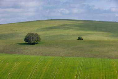 Güneşli bir bahar gününde, cennet gibi yeşil bir South Downs manzarası.