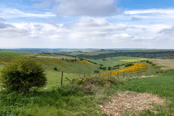 Bahar günü Ditchling Beacon yakınlarında bir Güney Downs manzarası