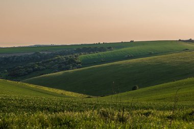 Ditchling Beacon 'ın yanındaki South Downs tepelerinin üzerinde akşam ışığı olan bir manzara.