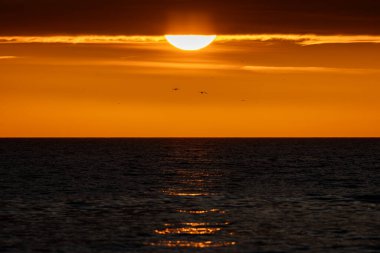 Brighton 'da denize bakıyorum, tepemizde günbatımı gökyüzü