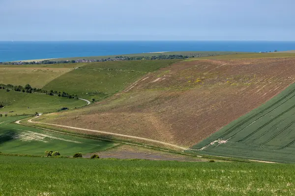 Tepelerin arkasında deniz ve tepede mavi gökyüzü olan kırsal bir Güney Downs manzarası.