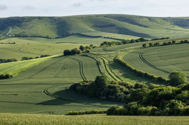 Kingston Ridge 'e doğru Guguk Kuşu Altında huzurlu bir Sussex manzarası