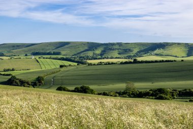 Cuckoo Bottom 'dan Kingston Ridge' e doğru güneşli bir bahar akşamı South Downs 'a doğru bir manzara.