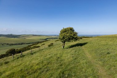 Kingston Ridge, Sussex kırsalındaki South Downs Yolu 'ndaki çimen yolu boyunca bir manzara.