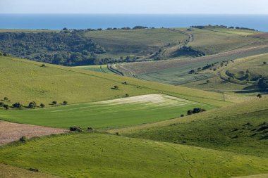 Güney Downs 'daki bir devriye arazisine bakıyorum, Sussex sahili uzakta.