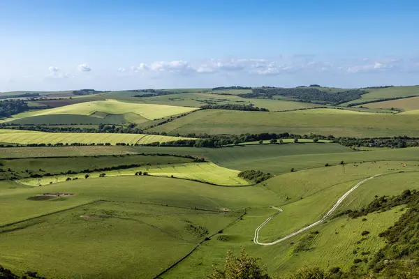 Güneydeki Kingston Ridge 'in kırsal Sussex manzarası