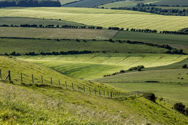 Sussex 'in güney kesimlerinde, güneşli bir yaz akşamında